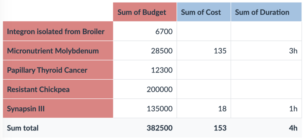 pivot table budget vs costs and duration
