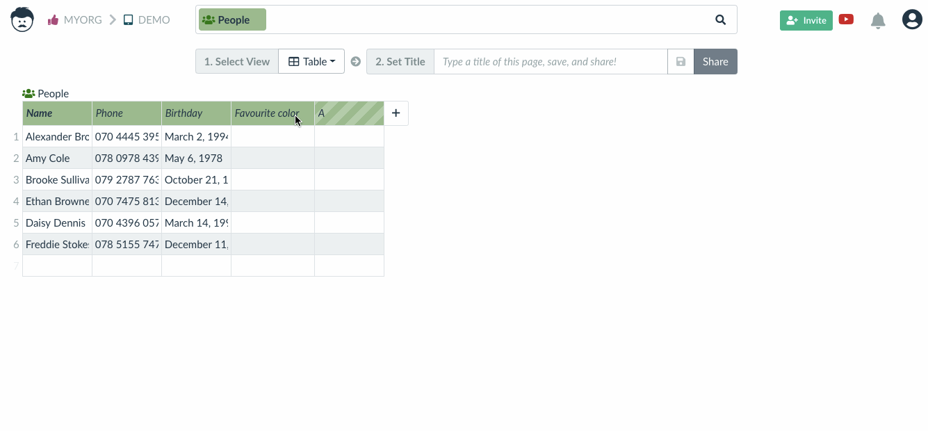 how to set data type