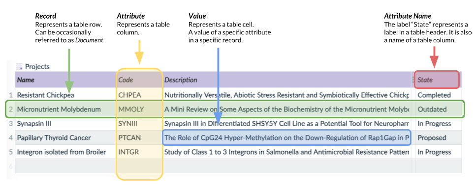 basic terminology explained on a table example